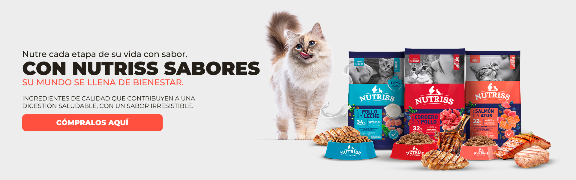 BNG - NUTRISS SABORES 2026